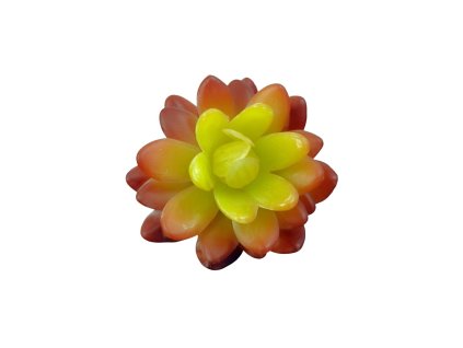 3941 1 sukulenty do orgonitu