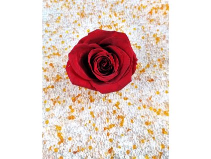 4103 silikagel s indikatorem vlhkosti 800 g