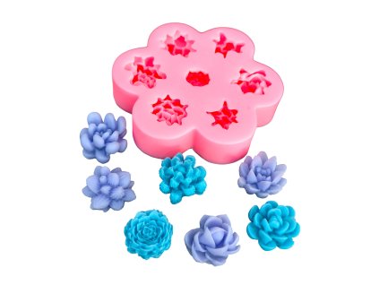 4312 silikonova forma sukulenty