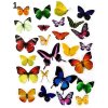 Aufkleber-Set Schmetterlinge – verschiedene Arten