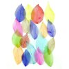 Skeletal Leaves for Resin 20 pcs – Mixed Colours