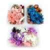 Set of dried flowers in resin in a box