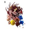 Set of dried flowers in resin in a box