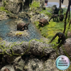 Fotorecenze (4)