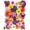 Getrocknete und gepresste Blumen für Epoxidharz „A“