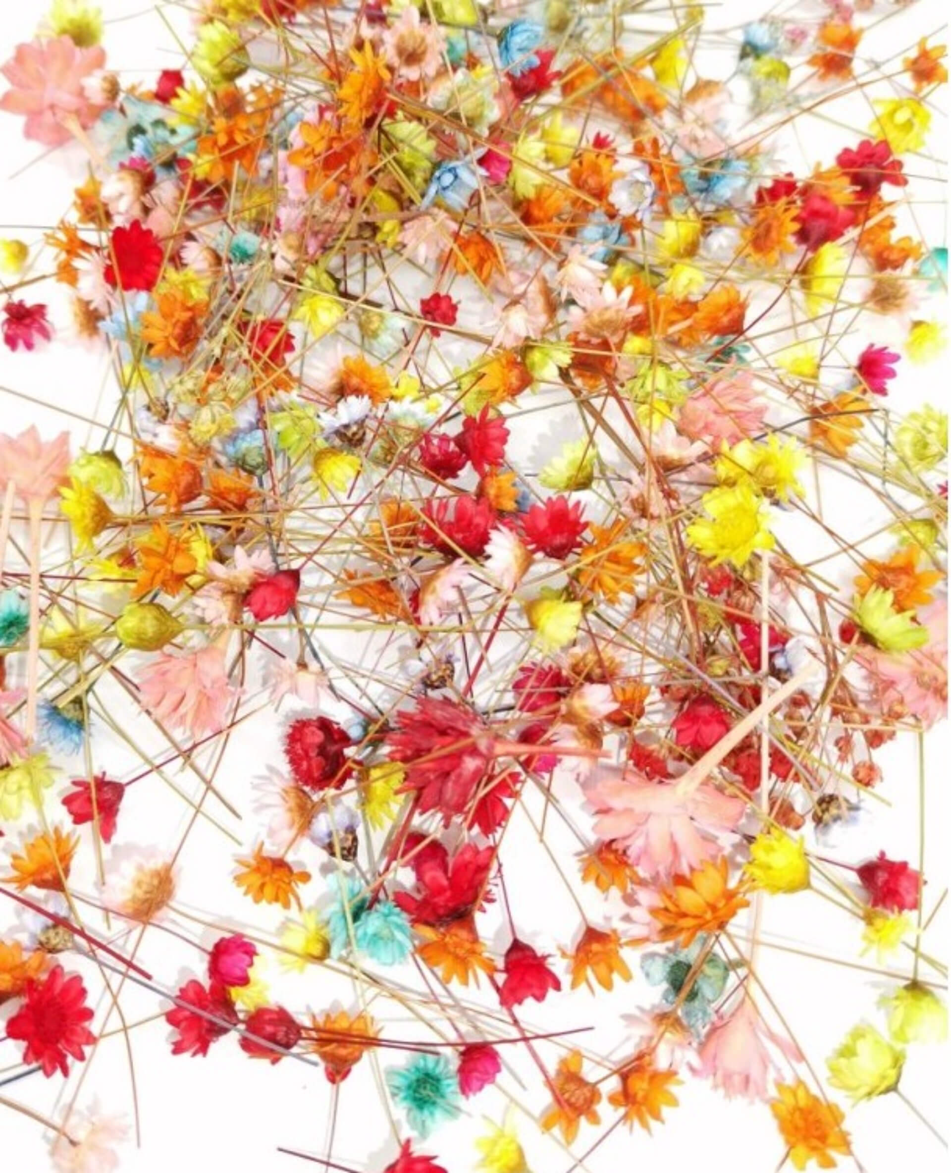 Ako zafarbiť sušené kvety do živice