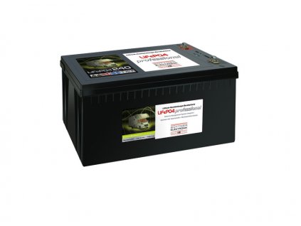 Palubní baterie lithium-iontová 300