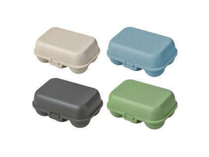 251b6f44e29e091793c4418effe2142fbca9b48e 551239 00 C 24 FAN thumbnail 2000px 72ppi