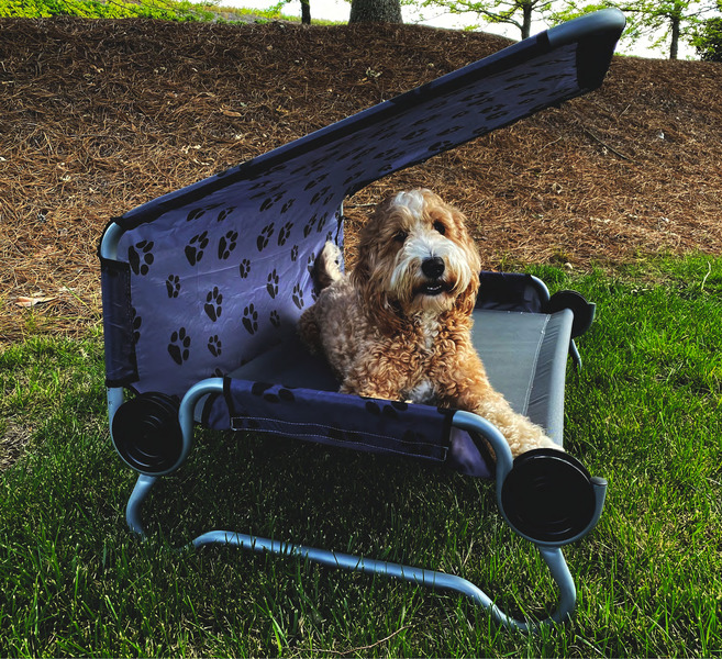 Pelíšek pro psy DOG BED - Large