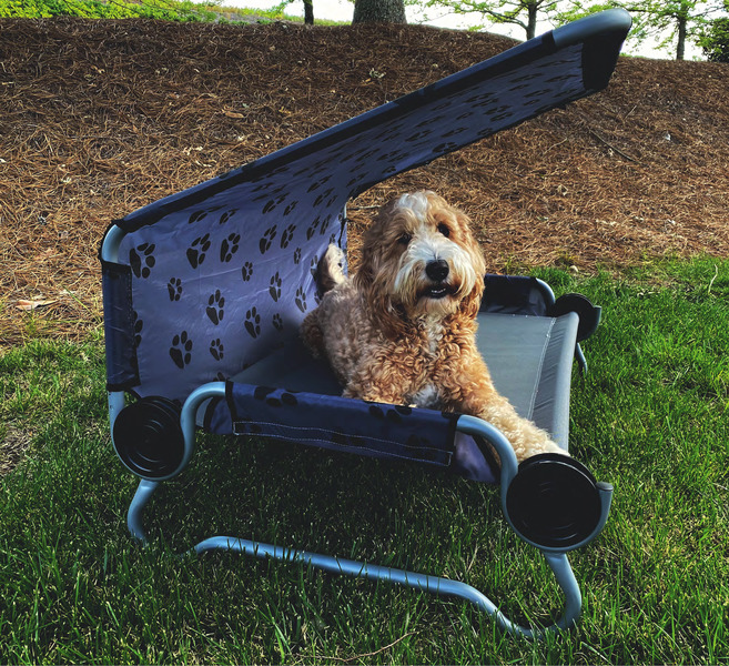 Pelíšek pro psy DOG BED - Small