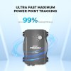 Renogy REGO 60A MPPT Solar Charge Controller 99percent