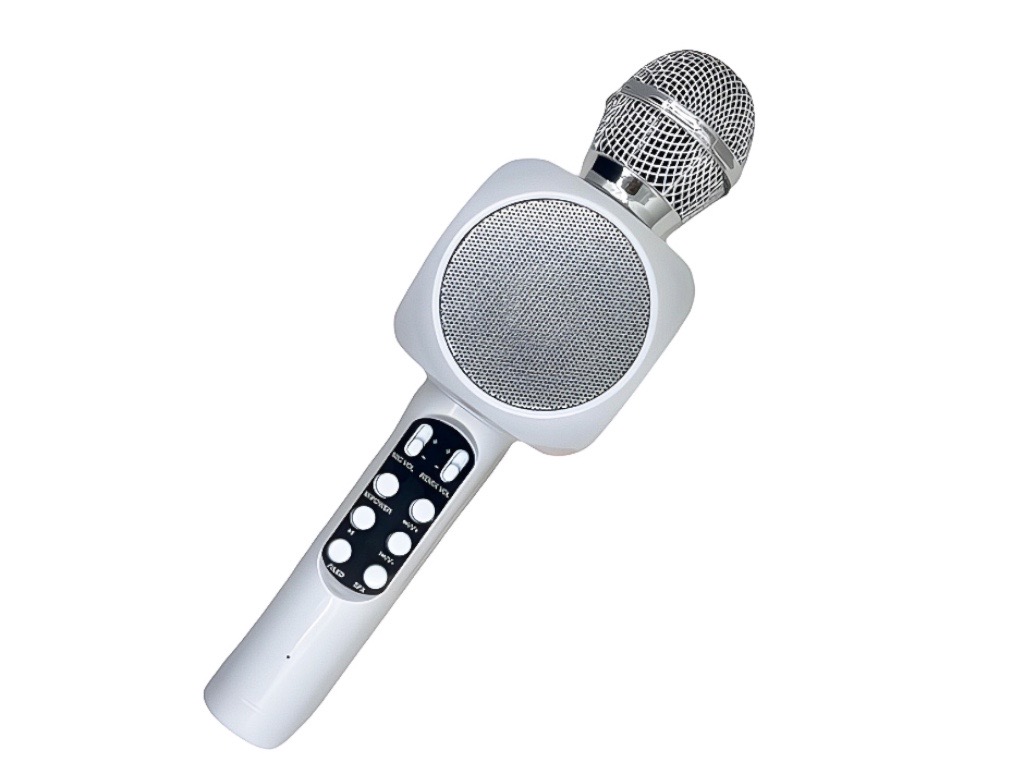 Karaoke bluetooth mikrofon WS-1816