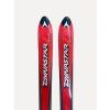 Dynastar Speed 150 cm