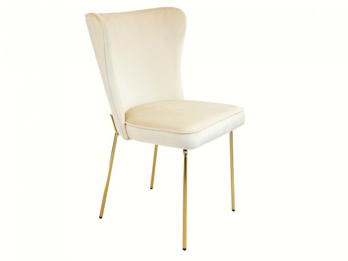 Židle Toni Klasik s kovovou konstrukcí
