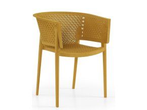 23556 4 mustard 215