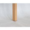 21937 13 masivni noha stolu st 106 ekonomy o sile 55 mm ressed