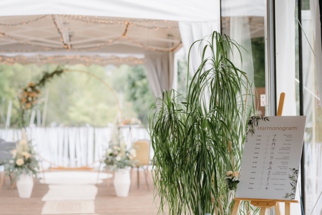 SVATBA V KLUBOVNĚ YC CERE