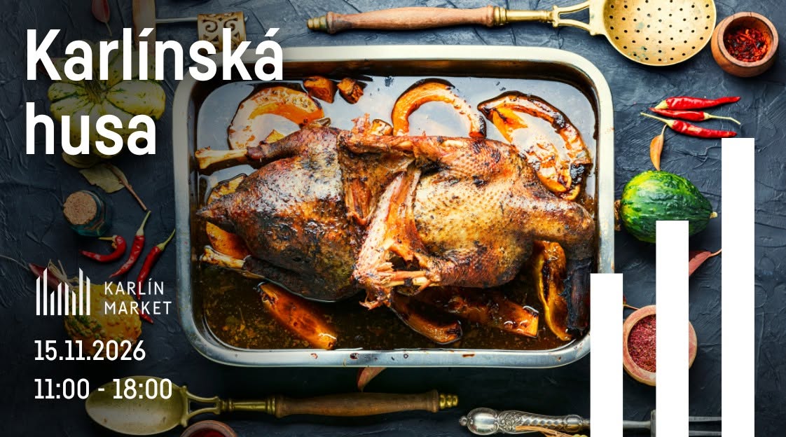 Karlínská husa 15. 11. 2026