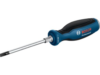 Bosch Skrutkovač PL 5,5 x 100 mm
