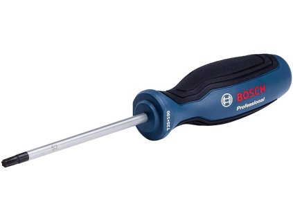 Bosch Skrutkovač T 25 x 100 mm