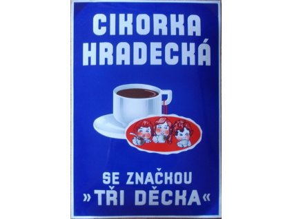cikorka hradecká