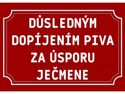 DŮSLEDNÝM DOPÍJENÍM