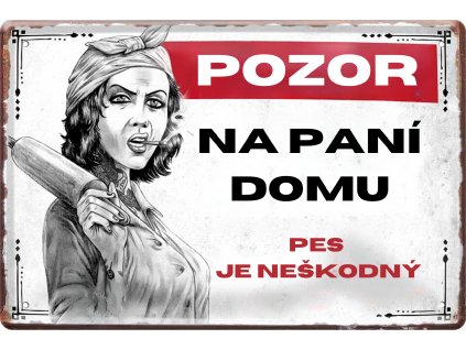 Pozor na paní domu 2
