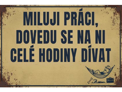 MILUJI PRÁCI, DOVEDU SE NA NI CELÉ HODINY DÍVAT