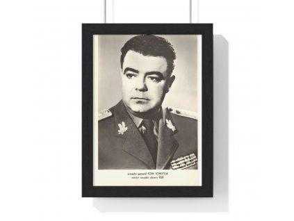 Ion Ionitsa - obraz