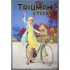 triumph cycles