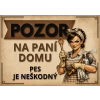 Paní domu III
