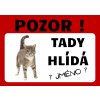 Tady hlídá Mourovatá kočka