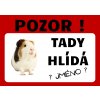 Tady hlídá morče
