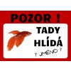 Tady hlídá ryba