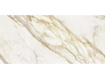 1750751658 cs imi01xml2