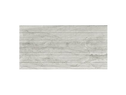 1755089866 cs reverso2 silver line 30x60 9 matt 1365248