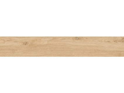 1763561584 cs betulla20x120