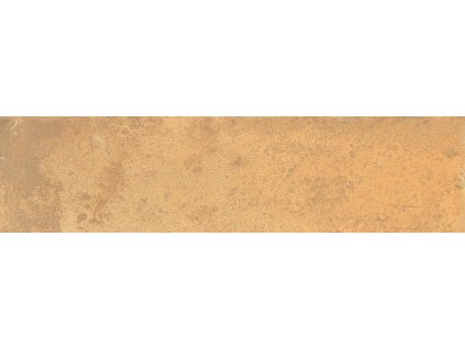 1769096160 cs b edimaxastor home 1y15 goldensun10x40