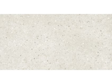 1768922982 cs 01 civic chips clear 60x120 p0