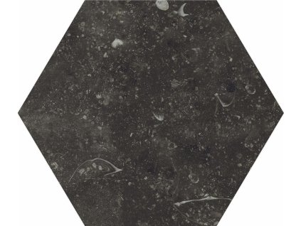 1769537225 cs b edima astor concert b235 blackesagono