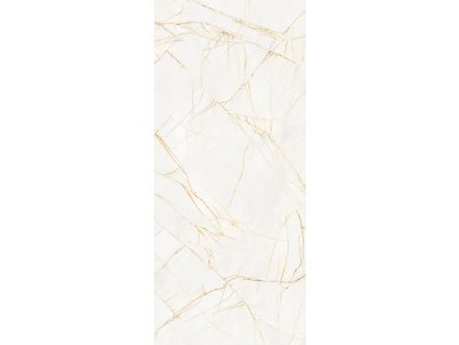 1770044716 cs supreme hedonism golden spider 120x28002