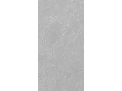 1770213606 cs dom ara stone grey 01 60x120 low