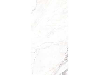 1770489802 cs dom kobe borghini 01 60x120 low