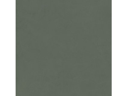 1771235153 cs ascot pigmenta olive 01 60x120 low