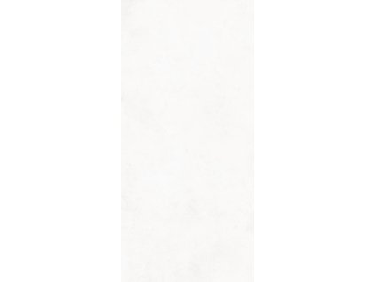 1771236795 cs ascot pigmenta white 60x120 1 low