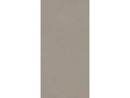 1771236915 cs ascot pigmenta mud 01 60x120 low