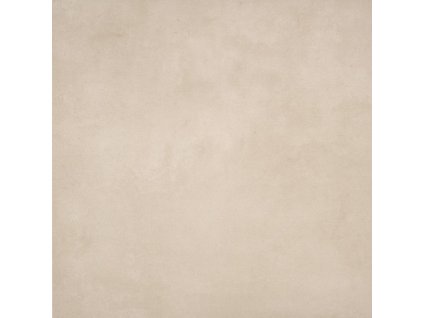 1774360788 cs ca1nballpdfa