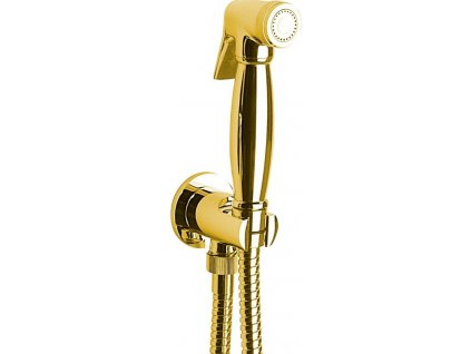 Retro bidetová sprcha s hadicou a držiakom sprchy s vývodom, zlatá 9105