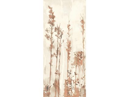 1729161428 cs j172 multiforme dune bosco1