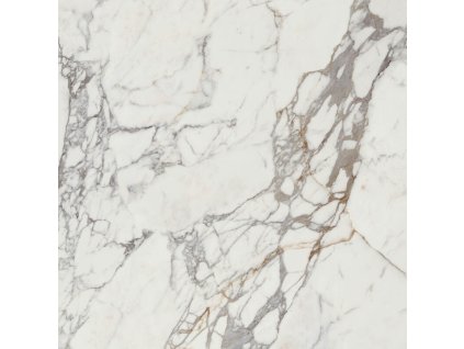 1641455569 CALACATTASILVER CALACATTA SILVER POL RECT 120X120 A038992